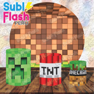 Minecraft 6