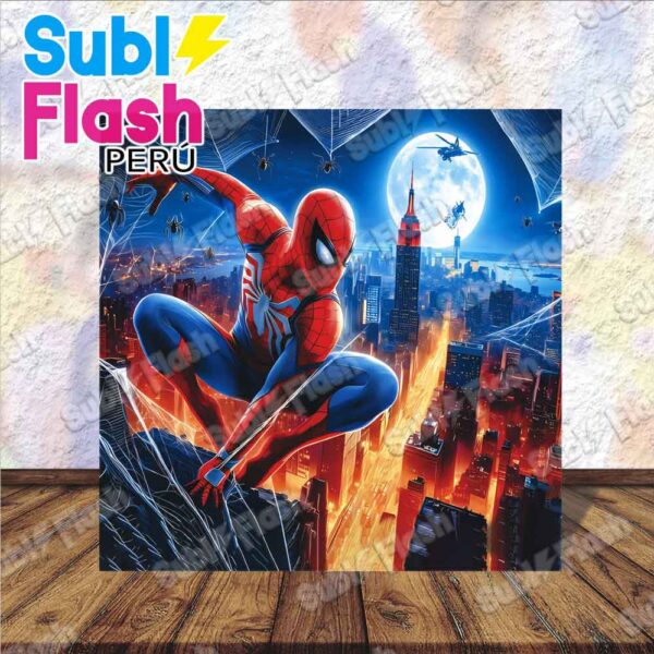 Spiderman Panel 1