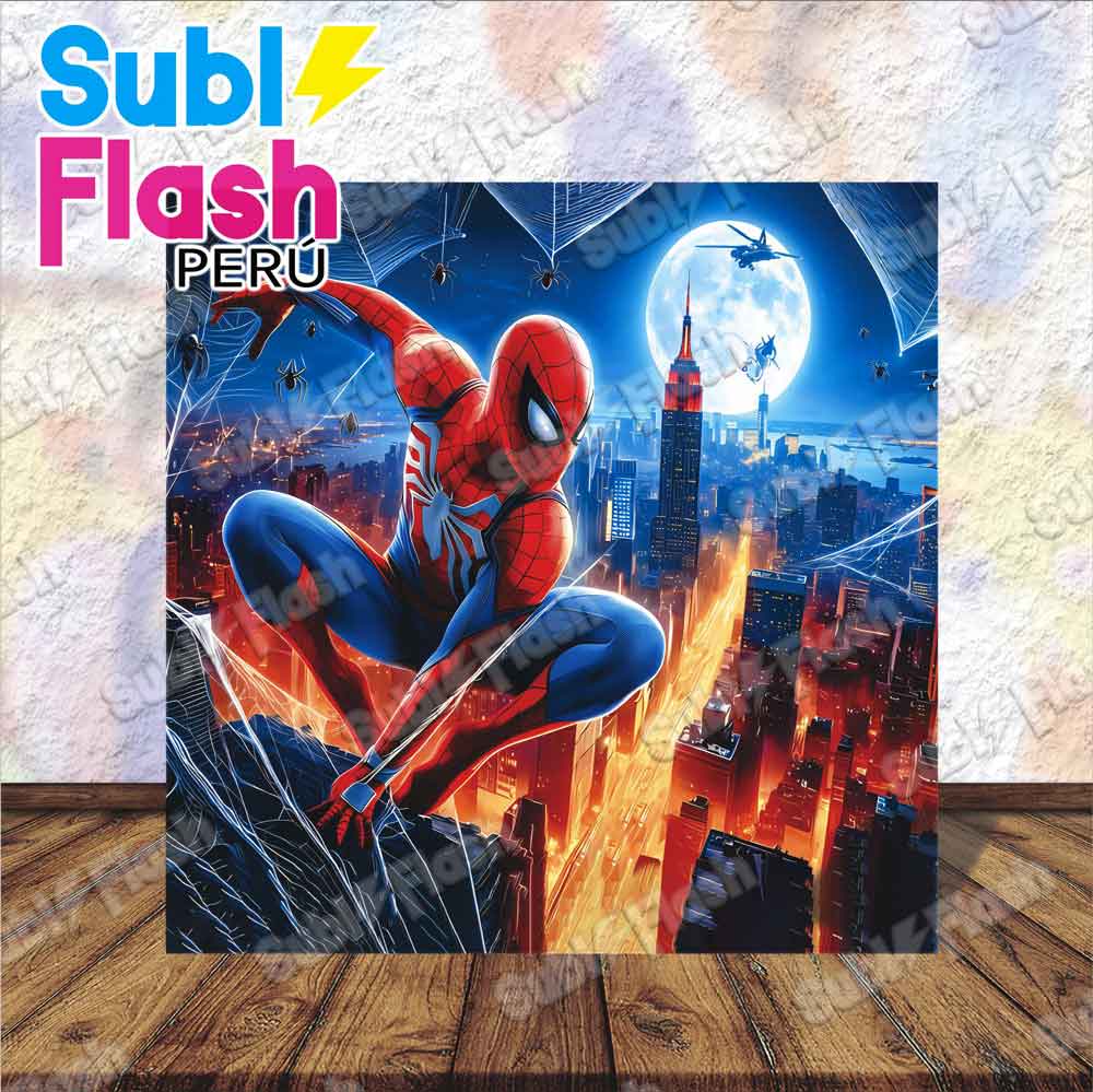 SPIDERMAN-PANEL-1